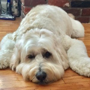 Meet your Posher, Kim